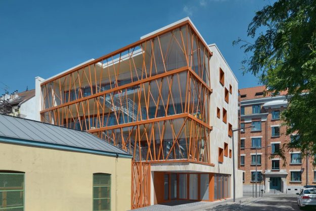 Un arbre dans la Ville