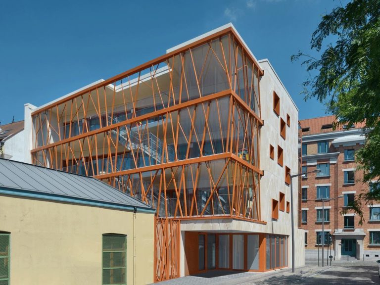 Un arbre dans la Ville