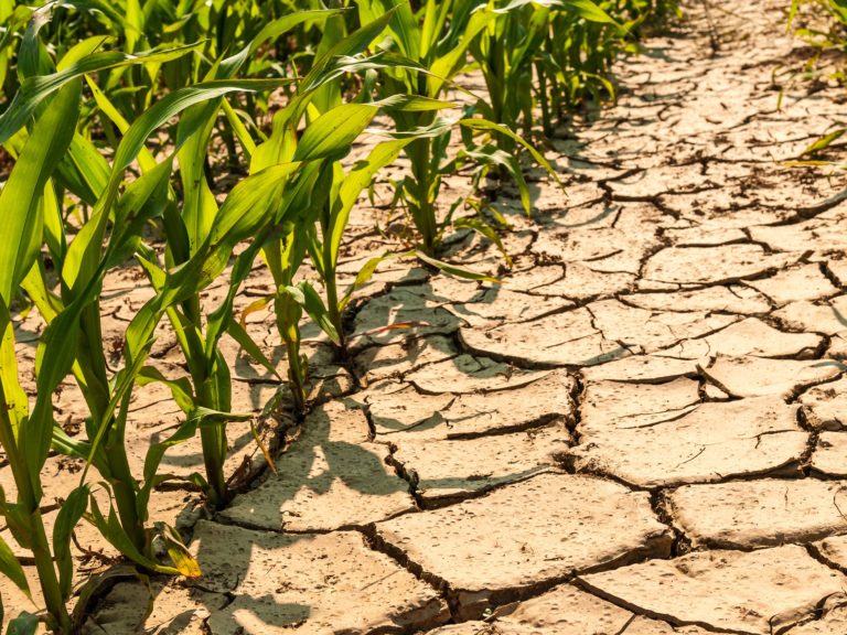 MATRiciel et la gestion de l'eau