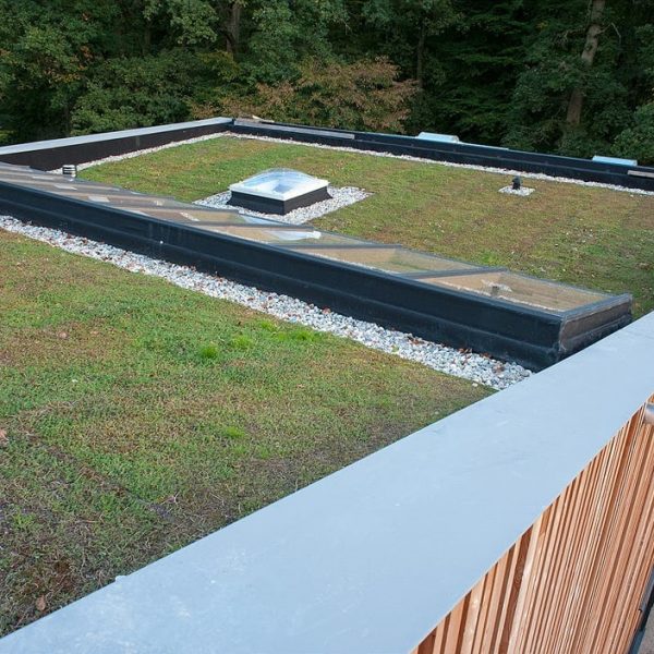 1101_BRIGADE_SITE_WEB_19022622 Intégration maximale du bâtiments des brigades forestières dans le milieu