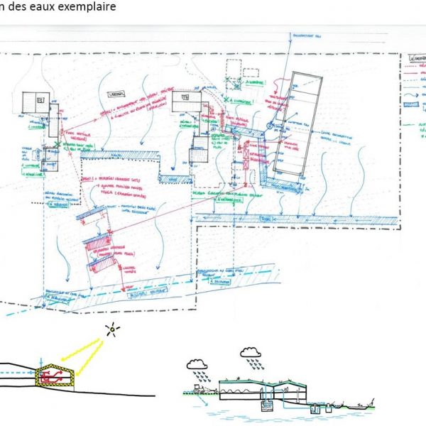 1101_BRIGADE_SITE_WEB_1902265-1 Gestion des eaux pour le projet des Brigades forestières de Bruxelles Environnement à Uccle