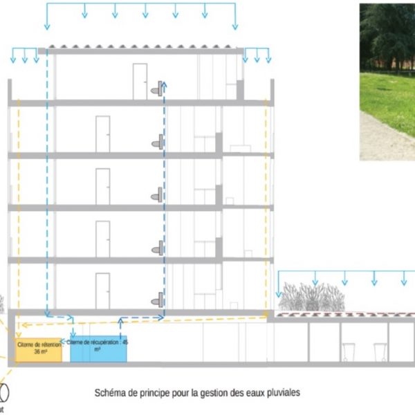 Artémis3 Artémis : les techniques spéciales