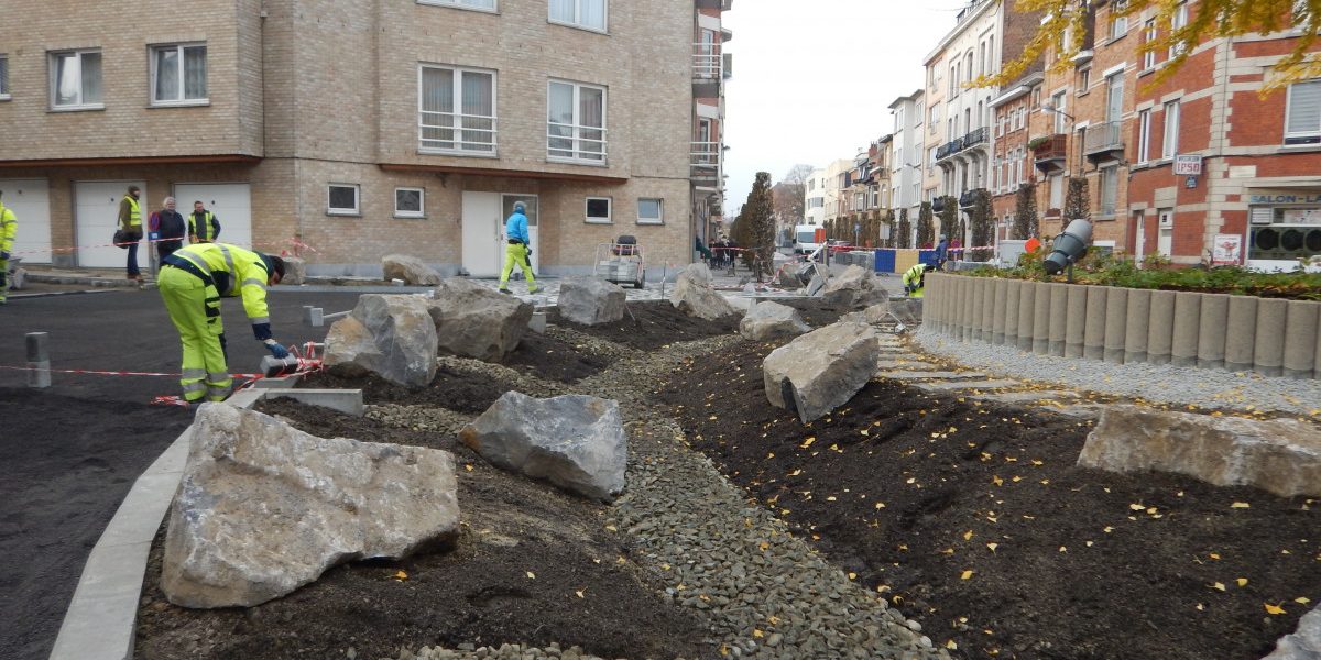 ©Agora Urba – Aménagement du rond-point Pannenhuis à Jette Jardin d'orage du rond-point Pannenhuis à Jette