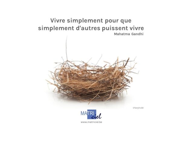 Voeux 2023 – Final pour site web