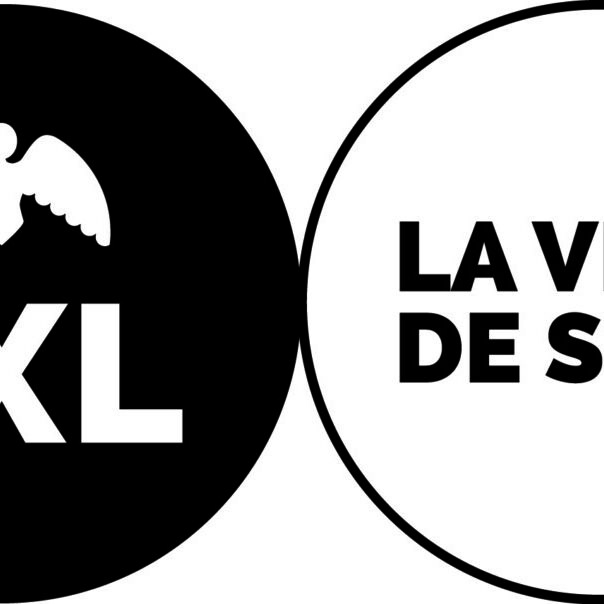 Logo Ville de Bruxelles